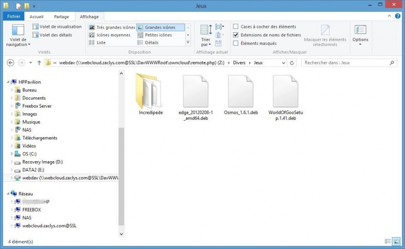 Fichier:WebDavWindows802.jpg