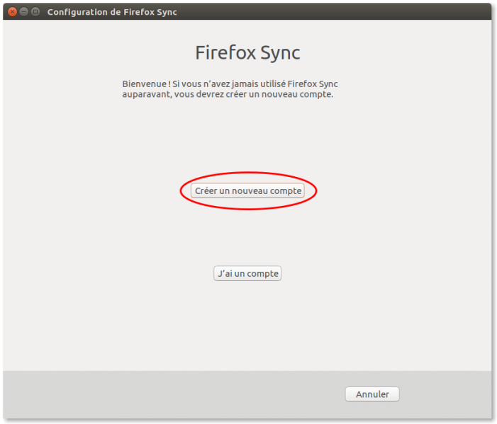 Fichier:Mozilla sync01.png