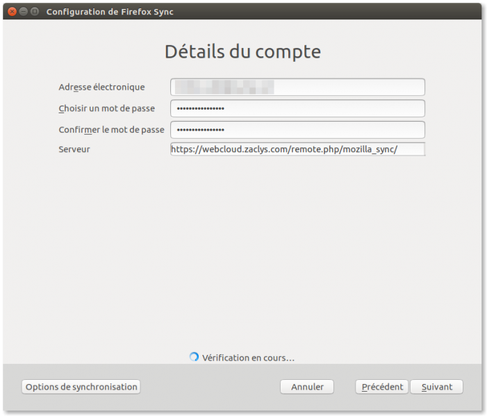Fichier:Mozilla sync02.png