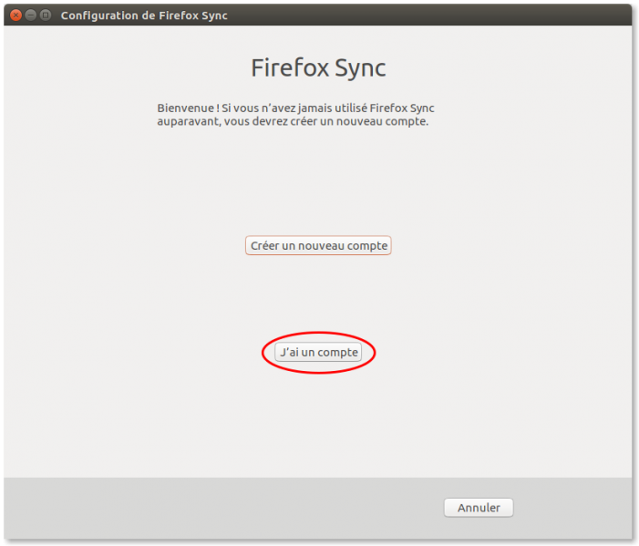Fichier:Mozilla sync07.png